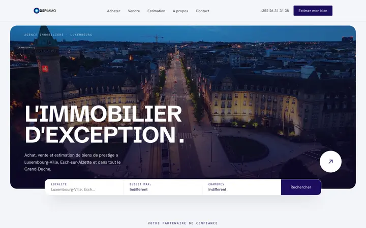 Capture du site DSPImmo